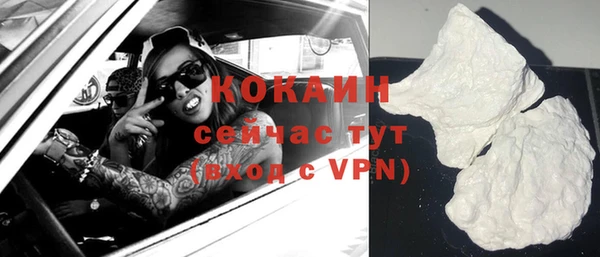 тгк Абаза