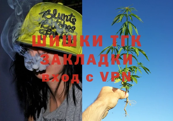 тгк Абаза