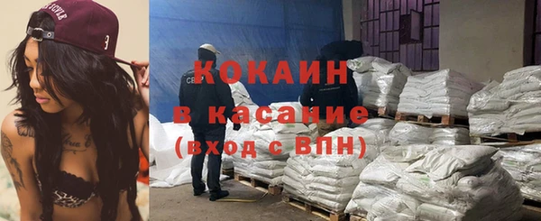 тгк Абаза