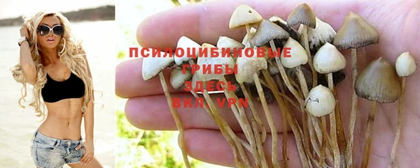 твердый Абдулино