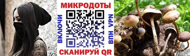 кракен маркетплейс  Камень-на-Оби  Псилоцибиновые грибы Psilocybe 