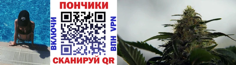 Марихуана семена  blacksprut tor  Камень-на-Оби 